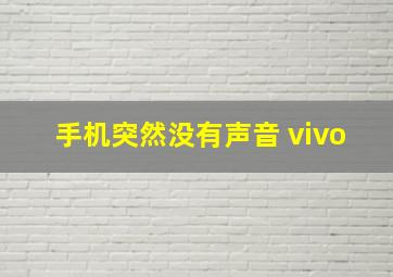 手机突然没有声音 vivo